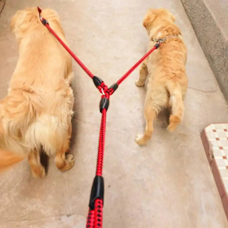 Pet Double Leash 360 Degree Rotation Knotless Pet Walking Leash