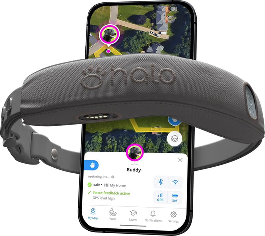 Halo  4, All New  Wireless Dog Fence & Training Collar with Real-Time Tracking,  , One Size (4 Colors)